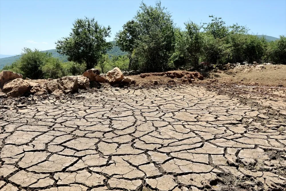 Klimatske promjene treba proglasiti globalnom zdravstvenom vanrednom situacijom