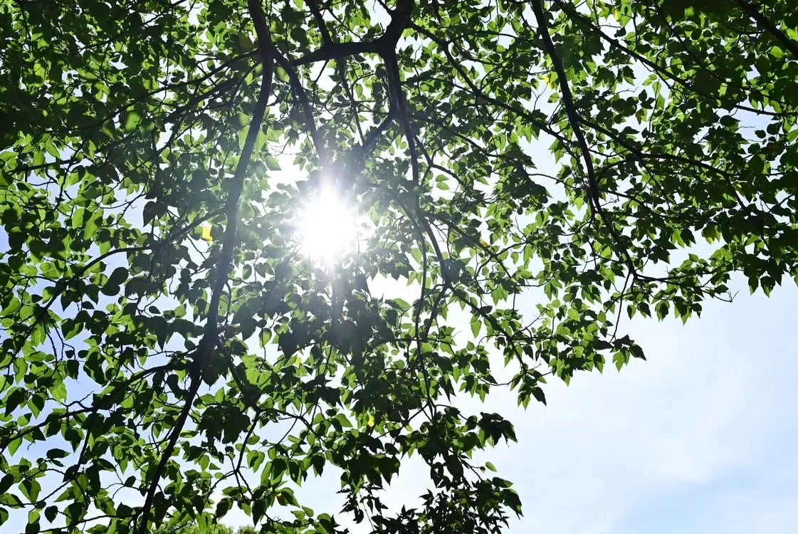 Danas u BiH svježe jutro, tokom dana porast temperature, evo kakvo nas vrijeme očekuje